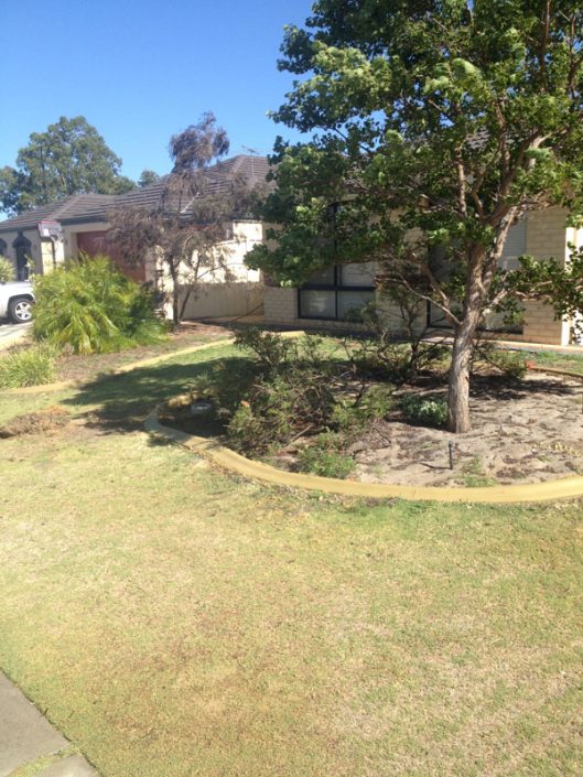 concrete edging in garden